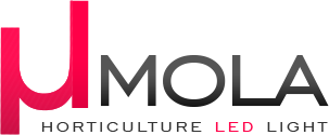 Logo UMOLA